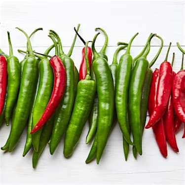 🌶️ Chiles y pimientos